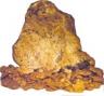 Gold nugget