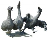 Happy ducks (and blogs)