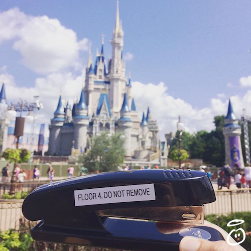 innocent-stapler-disneyland